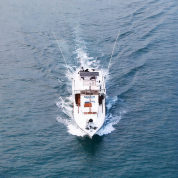 Sailing Banyuwangi – Bali Phinisi