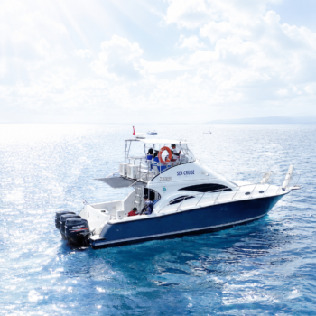 Sea Cruise Yacht & Pinisi Banyuwangi